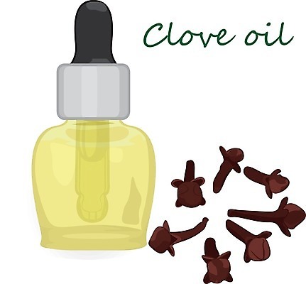 EPS 해외이미지 식물 디자인 꽃 백그라운드 잎 꽃무늬 일러스트 재료 건강 치료 초록색 약 라벨 스파 화장품 마사지 양념 조미료 맛 상품 약국 수집 허브 향신료 그림 유기농 향기 아로마 향 침엽수 성분 아로마테라피 내추럴 보충 바이오 채식주의자 해외202004 해외일러스트 나무 웰빙 컬러 컨셉 무늬 의학 프레임 뷰티 채식 냄새 테라피 향미료 파일형식 벡터 이미지허브