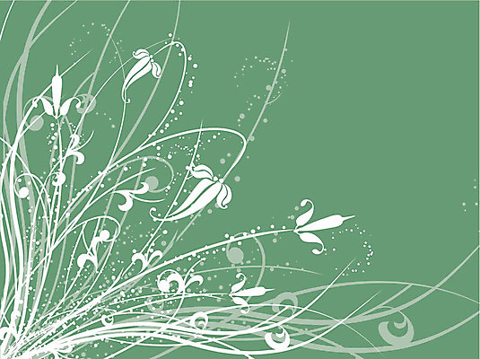 EPS 해외이미지 모양 식물 디자인 배너 백그라운드 잎 꽃무늬 패턴 곡선 일러스트 추상 프레임 미술 장식 페인트 소용돌이 나뭇가지 점 화려 우아함 심볼 질감 그런지 엘리먼트 해외202004 해외일러스트 나무 꽃 선 컨셉 무늬 문화예술 회오리 파일형식 벡터 이미지허브