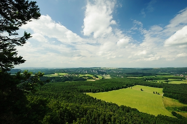 포토 JPG 해외이미지 나무 식물 계절 공원 꽃 밭 농업 자연 하늘 풍경 사람없음 초록색 여름 파란색 빛 농장 노란색 환경 시골 숲 땅 언덕 장면 체코 내추럴 수평선 해외202004 해외포토 공공시설 유럽 산업 컬러 생태계 파일형식 이미지허브