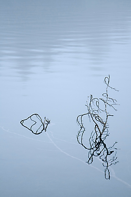 포토 JPG 해외이미지 나무 식물 호수 백그라운드 컨셉 겨울 자연 추상 미술 풍경 사람없음 야외 세로 물 파란색 강 반사 평화 화목 침묵 추위 나뭇가지 순수 묘사 내추럴 카피스페이스 해외202004 해외포토 자연요소 계절 컬러 무늬 문화예술 소리 공백 생태계 파일형식 이미지허브