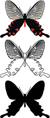 EPS 해외이미지 모양 동물 디자인 꽃 실루엣 길 야생동물 나비 곤충 꽃무늬 패턴 날개 일러스트 자연 프레임 골격 그래픽 장식 페인트 점 원형 벌레 심볼 묘사 사인 싱글 질감 나방 내추럴 고립 엘리먼트 해외202004 해외일러스트 도형 식물 무늬 촬영기법 생태계 파일형식 벡터 이미지허브