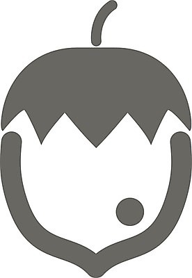 EPS 해외이미지 디자인 음식 다이어트 과일 일러스트 건강 견과류 수확 가을 달콤 심볼 사인 유기농 윤곽 내추럴 숙성 채식주의자 개암 해외202004 해외일러스트 웰빙 계절 열매 농업 맛 채식 파일형식 벡터 식물 산업 컨셉 이미지허브