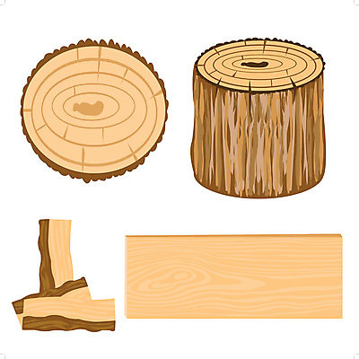 EPS 해외이미지 나무 일러스트 자연 블록 원형 균열 장작 흰배경 질감 서식 통나무 해외202004 해외일러스트 도형 식물 백그라운드 모션 흰색 생태계 파일형식 벡터 이미지허브