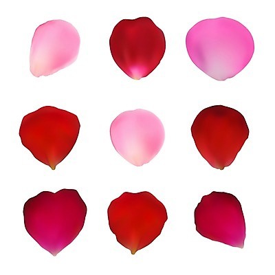 EPS 해외이미지 디자인 계절 꽃잎 꽃 분홍색 결혼 백그라운드 컨셉 꽃무늬 패턴 일러스트 자연 결혼식 추상 휴가 발렌타인데이 선물 사랑 미술 장식 빨간색 장미 우주 봄 벚꽃 축하 인사 신선 신용카드 심볼 질감 초대 부드러움 내추럴 고립 파스텔톤 해외202004 해외일러스트 식물 감정 컬러 무늬 데이이벤트 문화예술 이벤트 금융 예절 감각 생태계 파일형식 벡터 이미지허브