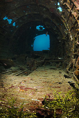 포토 JPG 해외이미지 바다 여행 휴가 비행기 사람없음 물 수중 다이빙 전쟁 태평양 석호 대패 소금물 침몰 폭격기 해외202004 해외포토 자연요소 무기 항공교통 대중교통 수영 수중스포츠 파일형식 이미지허브