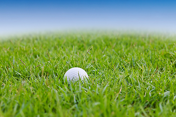 포토 JPG 해외이미지 모양 직업 1 스포츠 백그라운드 컨셉 패턴 곡선 골프 공 자연 새로움 잔디 취미 사람없음 초록색 파란색 경쟁 공백 장비 게임 원형 묘사 오브젝트 클럽 싱글 질감 심플 고립 해외202004 해외포토 도형 식물 선 컬러 무늬 놀이 구기 생태계 파일형식 이미지허브