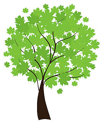 EPS 해외이미지 나무 식물 실루엣 단풍 잎 일러스트 사람없음 봄 가을 숲 오브젝트 해외202004 해외일러스트 계절 촬영기법 파일형식 벡터 이미지허브