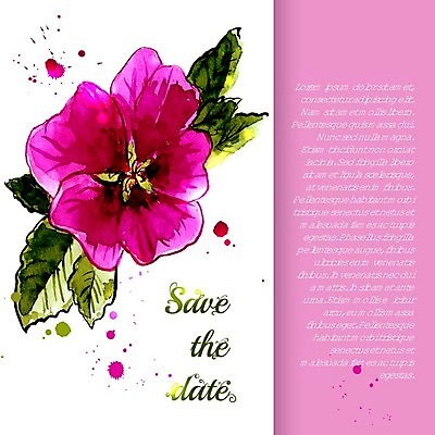 EPS 해외이미지 꽃잎 꽃 줄기 백그라운드 잎 꽃무늬 일러스트 사람없음 빨간색 장미 꿀 아욱 히비스커스 해외202004 해외일러스트 식물 컬러 무늬 파일형식 벡터 이미지허브