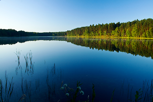 포토 JPG 해외이미지 식물 공원 호수 백그라운드 자연 하늘 풍경 사람없음 야외 가로 초록색 물 여름 파란색 컬러풀 햇빛 반사 침묵 거울 숲 그림 광택 폴란드 수평선 해외202004 해외포토 자연요소 계절 공공시설 유럽 컬러 태양 소리 생태계 파일형식 이미지허브