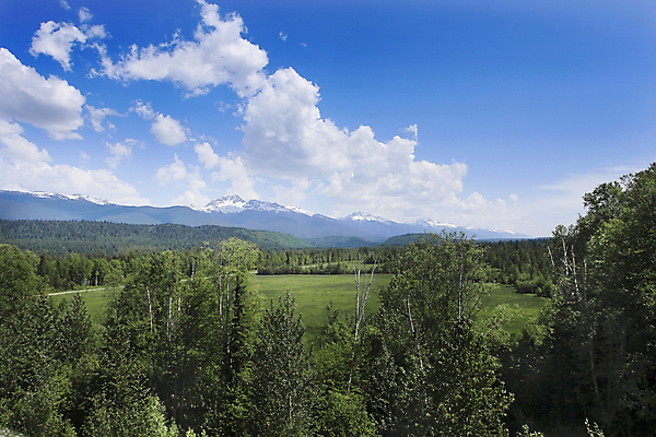 포토 JPG 해외이미지 나무 구름 자연 하늘 산 풍경 사람없음 해외202004 해외포토 자연요소 식물 생태계 파일형식 이미지허브