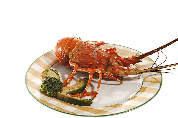 포토 JPG 해외이미지 바다 다이어트 호박 낚시 새우 파슬리 건강 갑각류 어류 사람없음 여름 바닷가재 레몬 라임 아보카도 살사댄스 해외202004 해외포토 동물 계절 채소 과일 레저 수중동물 춤 가재 파일형식 이미지허브