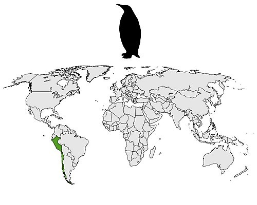 EPS 해외이미지 실루엣 백그라운드 지도 일러스트 초록색 세계 검은색 미국 흰색 심볼 사인 대륙 펭귄 칠레 남쪽 고립 분배 페루 해외202004 해외일러스트 컬러 북아메리카 조류 촬영기법 남아메리카 방향 파일형식 벡터 이미지허브
