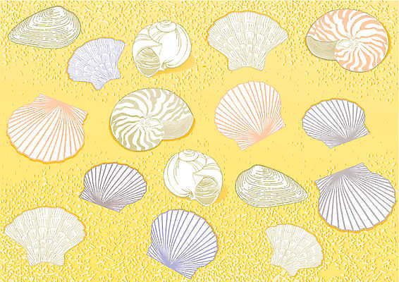 EPS 해외이미지 호수 모래 바다 여행 백그라운드 패턴 일러스트 표면 휴가 프레임 여름 태양 질감 내추럴 앵무조개 해외202004 해외일러스트 자연요소 계절 무늬 조개 파일형식 벡터 이미지허브