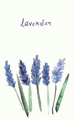 EPS 해외이미지 식물 디자인 배너 꽃 종이 꽃다발 결혼 백그라운드 잎 꽃무늬 패턴 일러스트 자연 벽지 추상 수채화 프레임 미술 그래픽 장식 물 여름 정원 보라색 스파 봄 수확 벚꽃 직물 신용카드 생일 허브 제비꽃 심볼 그림 유기농 질감 복고 엽서 아로마 초대 향 라벤더 내추럴 스크랩북 해외202004 해외일러스트 자연요소 웰빙 계절 기념일 컬러 무늬 농업 문화예술 이벤트 금융 편지 생태계 파일형식 벡터 이미지허브