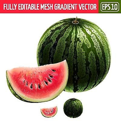 EPS 해외이미지 조각 일러스트 단면 수박 사람없음 빨간색 초록색 세트 미니수박 해외202004 해외일러스트 컬러 과일 파일형식 벡터 이미지허브