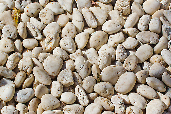 포토 JPG 해외이미지 전통 꽃 문화 선 자연 풍경 사람없음 초록색 물 정원 일본 침묵 바위 등불 연못 작음 붓꽃 해외202004 해외포토 자연요소 식물 아시아 컬러 조명 소리 돌_바위 크기 생태계 파일형식 이미지허브