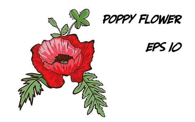 EPS 해외이미지 식물 1 디자인 꽃잎 꽃 백그라운드 컨셉 꽃무늬 밭 일러스트 자연 빨간색 여름 머리 봄 들꽃 흰색 신선 5월 오브젝트 그림 심플 양귀비 고립 엘리먼트 해외202004 해외일러스트 계절 컬러 무늬 농업 신체부위 날짜 생태계 파일형식 벡터 이미지허브