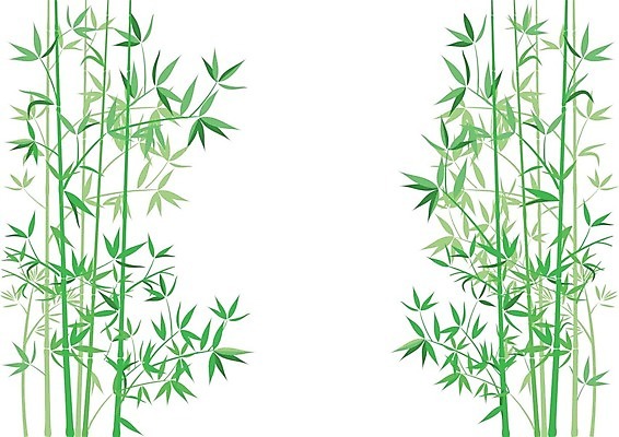 EPS 해외이미지 식물 잎 일러스트 사람없음 봄 대나무 순수 해외202004 해외일러스트 나무 계절 컨셉 파일형식 벡터 이미지허브