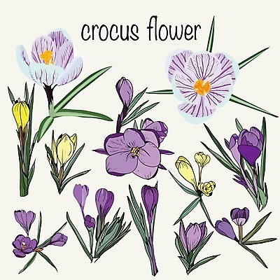 EPS 해외이미지 식물 템플릿 디자인 계절 꽃 행복 백그라운드 잎 꽃무늬 일러스트 자연 추상 휴가 부활절 그래픽 장식 세트 정원 봄 수확 벚꽃 흰색 축하 인사 신용카드 우아함 낙서 스케치 수집 심볼 그림 원예 복고 초대 내추럴 고립 엘리먼트 해외202004 해외일러스트 기념일 감정 컬러 컨셉 무늬 농업 미술 취미 금융 예절 생태계 파일형식 벡터 이미지허브