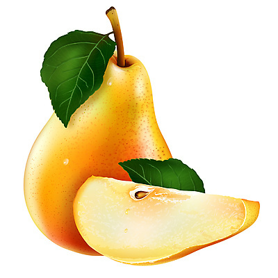 포토 JPG 해외이미지 과일 일러스트 사람없음 서양배 해외202004 해외포토 배_과일 파일형식 이미지허브