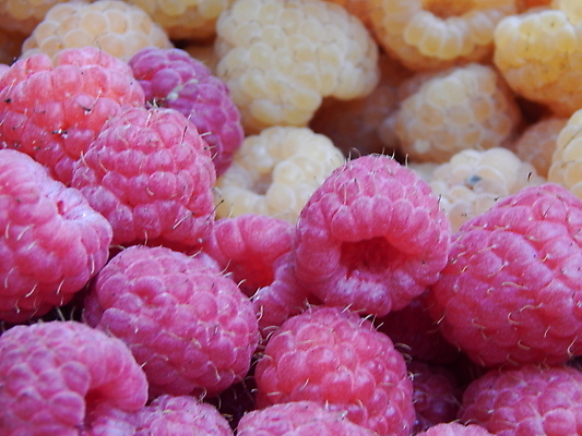 포토 JPG 해외이미지 음식 재료 건강 사람없음 빨간색 상자 컬러풀 농장 바구니 신선 달콤 수집 유기농 날것 지역 내추럴 숙성 해외202004 해외포토 웰빙 컬러 농업 맛 파일형식 이미지허브