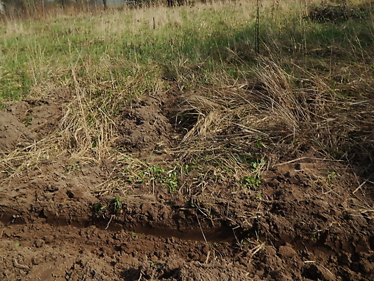 포토 JPG 해외이미지 지구 백그라운드 패턴 밭 농업 자연 사람없음 초록색 농작물 농장 갈색 흙 봄 시골 땅 만취 질감 밭일 쟁기 파종 해외202004 해외포토 계절 산업 컬러 무늬 농사 생태계 술취함 파일형식 이미지허브