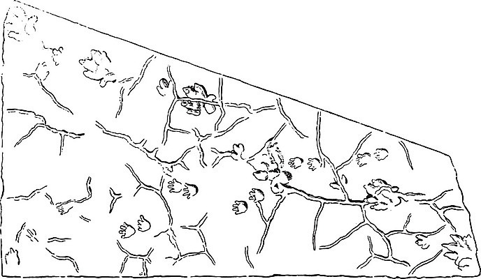 EPS 해외이미지 동물 유적 일러스트 미술 검은색 수확 골동품 흰색 역사 발굴 그림 치수 화석 안심 사암 판화 내추럴 명패 선로 옛날 해외202004 해외일러스트 전통 컬러 농업 문화예술 육류 돌_바위 파일형식 벡터 이미지허브