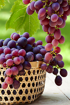 포토 JPG 해외이미지 식물 계절 열매 음식 분홍색 백그라운드 잎 농업 과일 자연 포도 디저트 사람없음 빨간색 초록색 갈색 바구니 보라색 수확 성장 신선 그룹 달콤 맛 다발 유기농 내추럴 숙성 엮은 채식주의자 많음 해외202004 해외포토 웰빙 산업 컬러 컨셉 생태계 채식 파일형식 이미지허브