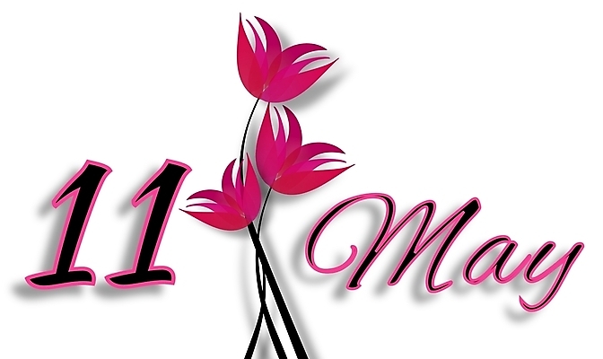 포토 JPG 해외이미지 디자인 꽃 감정 분홍색 백그라운드 꽃무늬 엄마 추상 휴가 기념 미술 사람없음 장식 숫자 흰색 축하 인사 신용카드 날짜 5월 편지 엽서 초대 월 고립 미라 엘리먼트 해외202004 해외포토 식물 문자 컬러 컨셉 무늬 가족 문화예술 금융 예절 파일형식 이미지허브