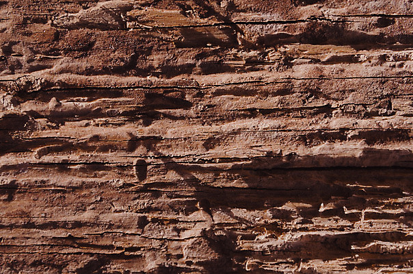 포토 JPG 해외이미지 벽 백그라운드 패턴 자연 표면 추상 건조 사람없음 목재 장식 세로 갈색 공백 수확 판넬 구멍 거친 자르기 묘사 질감 통나무 내추럴 그런지 수목 옛날 해외202004 해외포토 나무 컬러 무늬 농업 재료 모션 생태계 파일형식 이미지허브