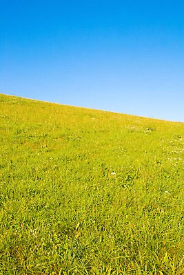포토 JPG 해외이미지 식물 구름 계절 백그라운드 밭 자연 하늘 바람 날씨 파노라마 풍경 잔디 사람없음 야외 초록색 여름 파란색 빛 컬러풀 햇빛 농장 환경 정원 맑음 봄 활발 흰색 시골 신선 땅 밭일 생태학 수평선 해외202004 해외포토 자연요소 교육 컬러 컨셉 농업 촬영기법 태양 생태계 파일형식 이미지허브