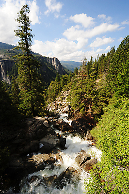 포토 JPG 해외이미지 나무 자연 산 국립공원 풍경 사람없음 초록색 물 파란색 강 미국 폭포 흰색 소나무 개울 황무지 숲 언덕 캘리포니아 요세미티국립공원 해외202004 해외포토 자연요소 식물 공원 컬러 북아메리카 생태계 파일형식 이미지허브