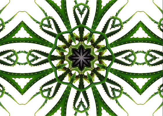 포토 JPG 해외이미지 디자인 꽃잎 꽃 별 백그라운드 겨울 꽃무늬 패턴 자연 추상 사람없음 물 태양 노란색 원형 눈송이 복고 대칭 만다라 만화경 해외202004 해외포토 자연요소 도형 식물 계절 컬러 무늬 눈_날씨 장난감 생태계 파일형식 이미지허브