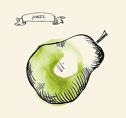 EPS 해외이미지 식물 손 디자인 종이 선 음식 백그라운드 농업 다이어트 과일 일러스트 자연 수채화 건강 미술 그래픽 장식 초록색 여름 농장 정원 검은색 수확 흰색 신선 신용카드 그리기 달콤 맛 스케치 그림 유기농 복고 손그림 점심식사 바이오 숙성 옛날 해외202004 해외일러스트 웰빙 계절 산업 컬러 컨셉 모션 문화예술 신체부위 금융 식사 생태계 파일형식 벡터 이미지허브