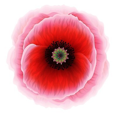 EPS 해외이미지 식물 1 꽃잎 꽃 줄기 캐나다 꽃무늬 밭 일러스트 자연 야외 빨간색 초록색 여름 빛 햇빛 평화 정원 맑음 침묵 벚꽃 시골 개화 큼 심볼 양귀비 내추럴 꽃수술 취급주의 현실 해외202004 해외일러스트 계절 컬러 컨셉 북아메리카 무늬 농업 날씨 경고 소리 크기 생태계 파일형식 벡터 산업 아메리카 대륙 이미지허브