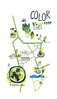 PSD 문자 알파벳 영어 길 음식 컬러 백그라운드 컨셉 지도 채소 일러스트 고추 사람없음 초록색 단어 샐러드 양념 병 냄비 상추 브로콜리 배추 양배추 컬러푸드 대파 국내일러스트 식기 솥 파 파일형식