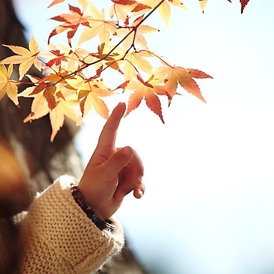 포토 JPG 주간 나무 식물 손 계절 단풍 자연 나뭇잎 한손 한국 한명 사람 동양인 풍경 근접촬영 야외 아웃포커스 신체부위 가을풍경 한국인 가을 가리킴 아기 경주 경상북도 경상도 아기만 국내포토 자연요소 1 아시아 뷰포인트 잎 촬영기법 인종 손짓 생태계 파일형식 가을_계절