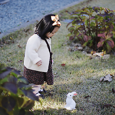 포토 JPG 주간 전신 식물 동물 응시 계절 여자 인형 낙엽 자연 나뭇잎 한국 한명 서기 사람 동양인 풍경 야외 아웃포커스 장난감 가을풍경 한국인 가을 아기 토끼 경상북도 경상도 반려 여자만 여자한명만 아기만 여자아기만 여자아기한명만 국내포토 자연요소 1 시선 아시아 잎 포유류 모션 촬영기법 인종 반려동물 생태계 파일형식 가을_계절