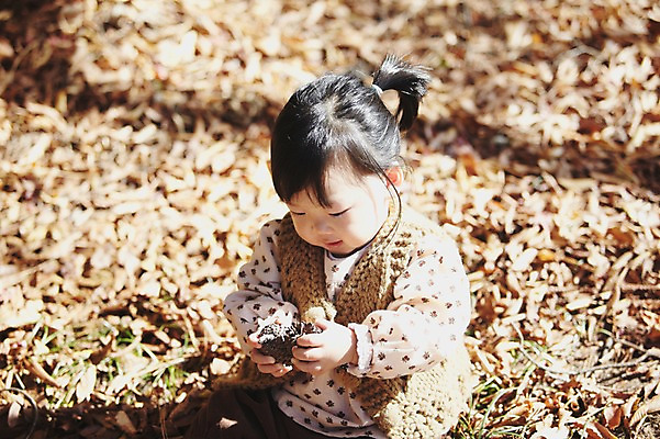 포토 JPG 주간 식물 응시 계절 여자 단풍 낙엽 자연 나뭇잎 한국 한명 들기 사람 앉기 동양인 풍경 근접촬영 상반신 야외 아웃포커스 가을풍경 한국인 가을 아기 경주 경상북도 경상도 솔방울 여자만 여자한명만 아기만 여자아기만 여자아기한명만 국내포토 자연요소 1 시선 아시아 뷰포인트 잎 모션 촬영기법 인종 생태계 파일형식 가을_계절