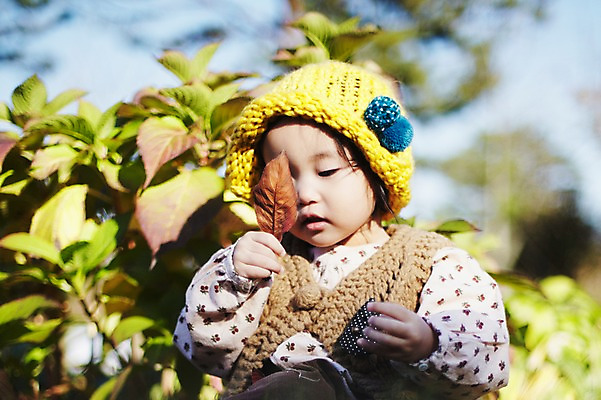 포토 JPG 주간 나무 식물 모자 계절 여자 낙엽 자연 나뭇잎 한국 한명 들기 사람 앉기 동양인 풍경 근접촬영 상반신 야외 아웃포커스 가을풍경 한국인 가을 아기 경주 경상북도 경상도 여자만 여자한명만 아기만 여자아기만 여자아기한명만 국내포토 자연요소 1 잡화 아시아 뷰포인트 잎 모션 촬영기법 인종 생태계 파일형식 가을_계절