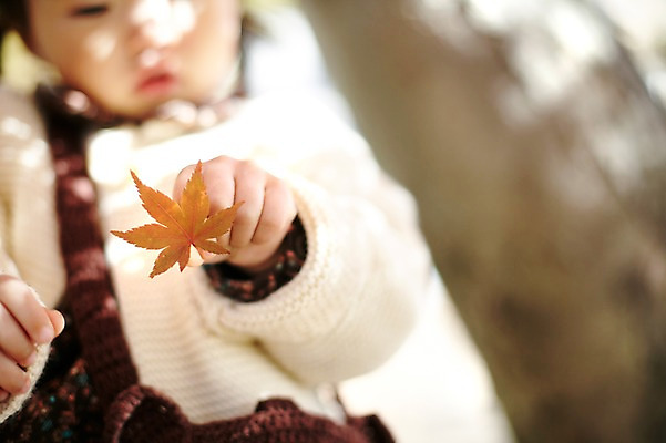 포토 JPG 주간 나무 식물 응시 계절 여자 단풍 자연 나뭇잎 한국 한명 들기 사람 앉기 동양인 풍경 근접촬영 상반신 야외 아웃포커스 가을풍경 한국인 가을 아기 경주 경상북도 경상도 여자만 여자한명만 아기만 여자아기만 여자아기한명만 국내포토 자연요소 1 시선 아시아 뷰포인트 잎 모션 촬영기법 인종 생태계 파일형식 가을_계절