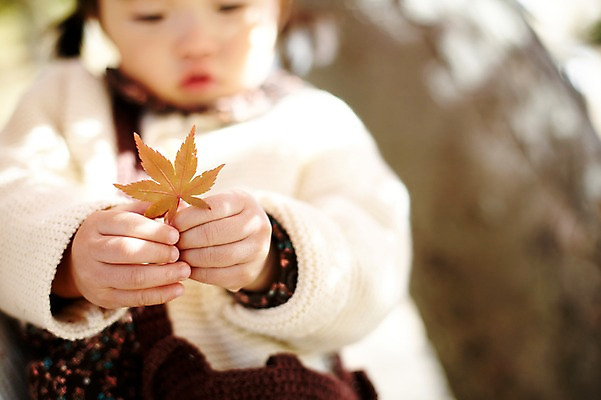 포토 JPG 주간 나무 식물 응시 계절 여자 단풍 자연 나뭇잎 한국 한명 들기 사람 앉기 동양인 풍경 근접촬영 상반신 야외 아웃포커스 가을풍경 한국인 가을 아기 경주 경상북도 경상도 여자만 여자한명만 아기만 여자아기만 여자아기한명만 국내포토 자연요소 1 시선 아시아 뷰포인트 잎 모션 촬영기법 인종 생태계 파일형식 가을_계절