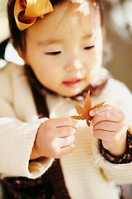 포토 JPG 주간 나무 식물 응시 계절 여자 단풍 자연 나뭇잎 한국 한명 들기 사람 앉기 동양인 풍경 근접촬영 상반신 야외 아웃포커스 가을풍경 한국인 가을 아기 경주 경상북도 경상도 여자만 여자한명만 아기만 여자아기만 여자아기한명만 국내포토 자연요소 1 시선 아시아 뷰포인트 잎 모션 촬영기법 인종 생태계 파일형식 가을_계절