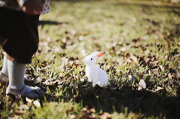 포토 JPG 주간 나무 식물 동물 계절 여자 인형 낙엽 자연 나뭇잎 한국 한명 사람 동양인 풍경 근접촬영 잔디 야외 아웃포커스 신체부위 장난감 가을풍경 한국인 하반신 가을 다리 아기 토끼 풀 경상북도 경상도 반려 여자만 여자한명만 아기만 여자아기만 여자아기한명만 국내포토 자연요소 1 아시아 뷰포인트 잎 포유류 촬영기법 인종 반려동물 생태계 파일형식 가을_계절
