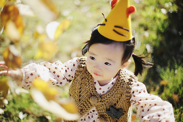 포토 JPG 주간 나무 식물 모자 응시 계절 여자 낙엽 자연 나뭇잎 한국 한명 서기 사람 동양인 풍경 근접촬영 상반신 야외 아웃포커스 가을풍경 고깔모자 한국인 가을 아기 경주 경상북도 경상도 여자만 여자한명만 아기만 여자아기만 여자아기한명만 국내포토 자연요소 모자_잡화 1 시선 잡화 아시아 뷰포인트 잎 모션 촬영기법 인종 생태계 파일형식 가을_계절