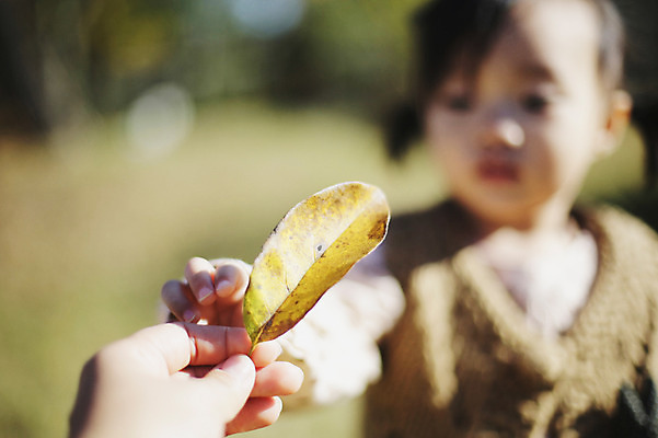 포토 JPG 주간 나무 식물 응시 계절 여자 낙엽 자연 나뭇잎 한국 한명 서기 들기 사람 동양인 풍경 근접촬영 상반신 야외 아웃포커스 가을풍경 한국인 가을 아기 경주 경상북도 경상도 여자만 여자한명만 아기만 여자아기만 여자아기한명만 국내포토 자연요소 1 시선 아시아 뷰포인트 잎 모션 촬영기법 인종 생태계 파일형식 가을_계절