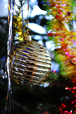 포토 JPG 해외이미지 나무 계절 종교 백그라운드 크리스마스장식 크리스마스 겨울 공 추상 휴가 불꽃 전등 조명 매달리기 선물 이벤트 사람없음 장식 빨간색 초록색 빛 반짝임 노란색 축제 장식볼 축하 소나무 황금 12월 활 다듬기 해외202004 해외포토 식물 기념일 컬러 컨셉 무늬 모션 불 날짜 파일형식 이미지허브