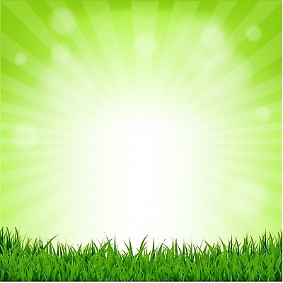 EPS 해외이미지 나무 식물 디자인 포스터 백그라운드 컨셉 잎 일러스트 자연 부활절 프레임 야외 초록색 여름 햇빛 태양 환경 봄 활발 나뭇가지 발표 보호 소프트포커스 숲 청소 에코 클립 보케 파열 엘리먼트 효과 해외202004 해외일러스트 자연요소 계절 기념일 컬러 촬영기법 생태계 파일형식 벡터 이미지허브