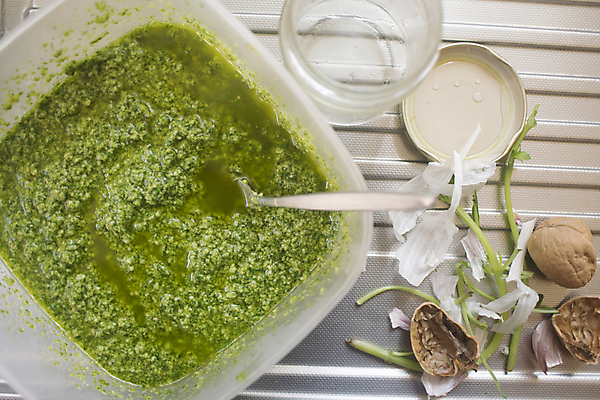 포토 JPG 해외이미지 파스타 사람없음 초록색 견과류 껍질 소나무 양념 조미료 민트 크림 준비 바질 해외202004 해외포토 나무 컬러 서양음식 허브 향미료 파일형식 이미지허브