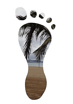 포토 JPG 해외이미지 나무 모래 일러스트 휴가 손바닥 사람없음 인쇄 발자국 발가락 고립 양발 해외202004 해외포토 식물 손 자국 발 파일형식 이미지허브